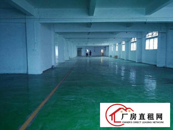 
		独院标准厂房3200平
	