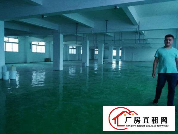 
		独院标准厂房3200平
	