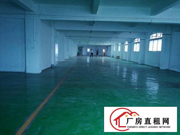 
		独院标准厂房3200平
	