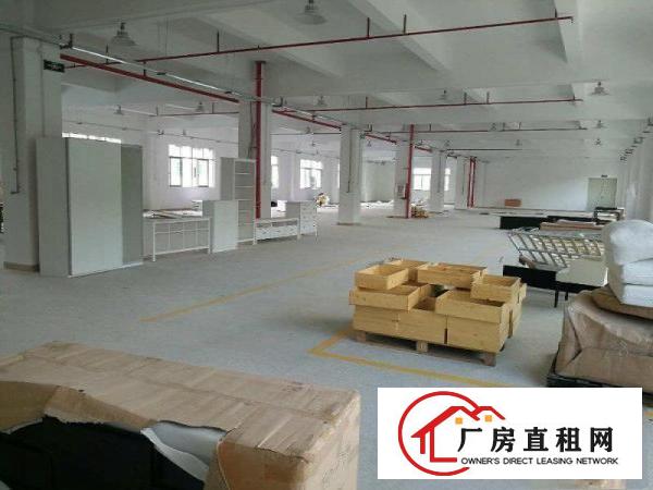 
		独栋2100平方标准厂房
	