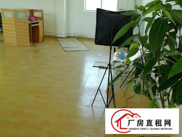 
		250平小厂房出租
	