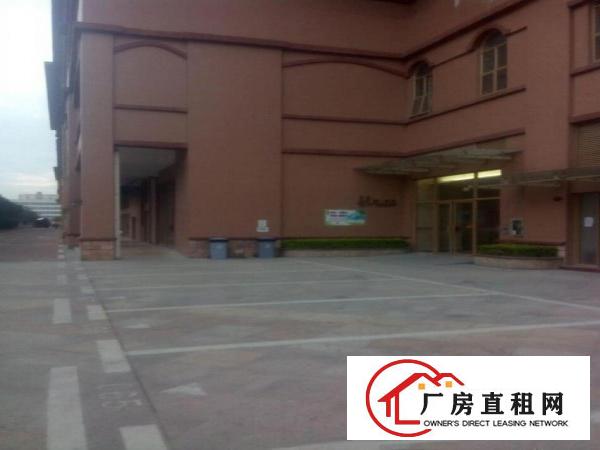 
		出租大亚湾西区，出租大亚湾西区响水河工业区太东时尚岛13栋写
	