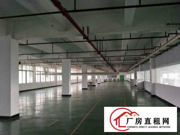 
		大亚湾西区标准厂房出租一楼800平
	