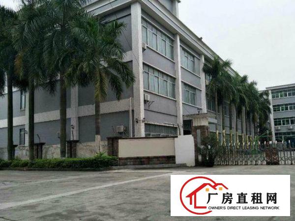 
		大亚湾西区标准厂房出租一楼800平
	