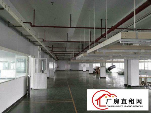 
		大亚湾西区标准厂房出租一楼800平
	