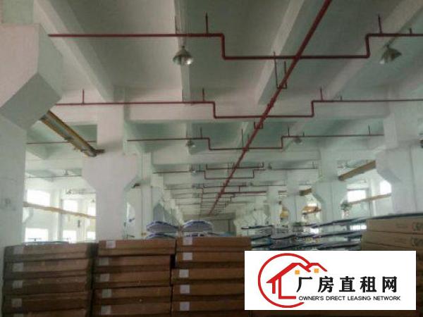 
		大亚湾新出靓厂房1楼2600平方滴水5米带牛角
	