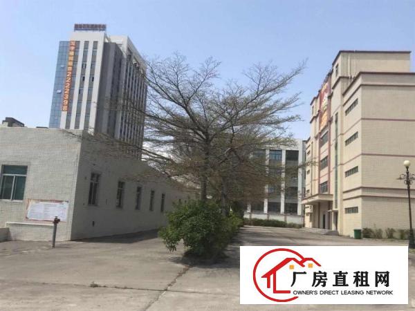 
		惠阳大亚湾15000平方厂房出租（可分租）
	