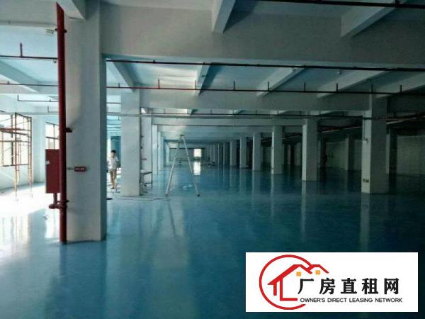 
		仲恺TCL附近原房东4000平方，精装修厂房急租！
	