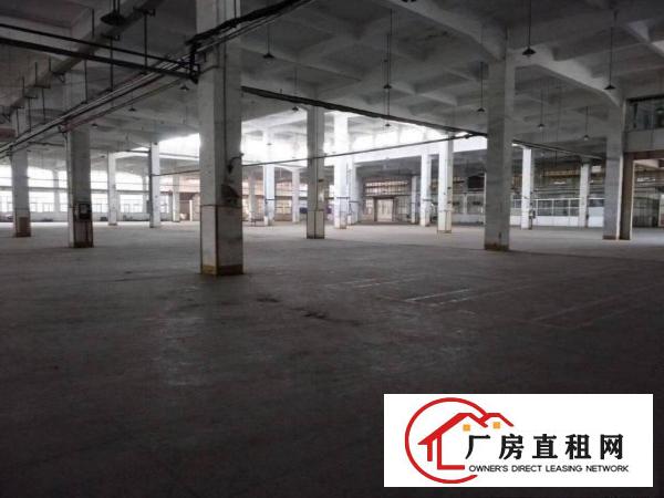 
		出租三干平米七成新钢构厂房
	
