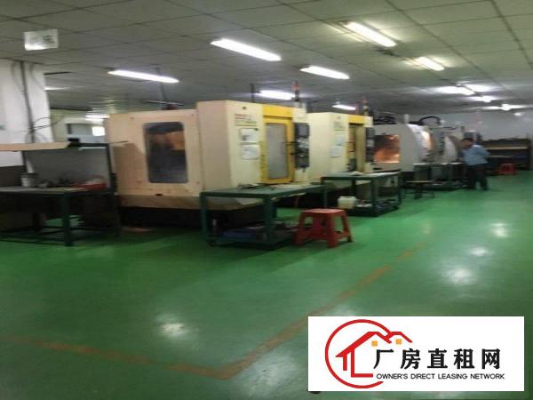 
		仲恺高新区新出标准一楼1000平方，租金13
	