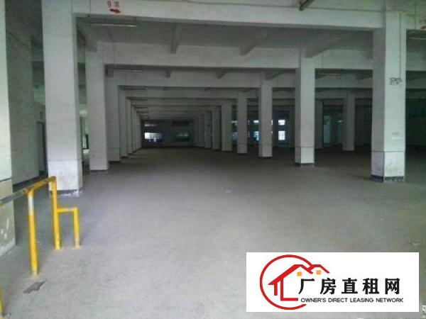 
		惠阳2600新圩长布原房东配套设施齐全独院厂房招租
	