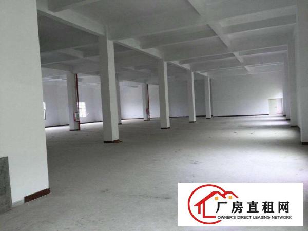 
		陈江镇主路边上独栋标准厂房5100平方
	