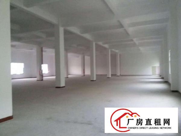 
		陈江镇主路边上独栋标准厂房5100平方
	