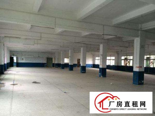 
		出租仲恺陈江标准厂房，4500平方可分租4层独门独院
	