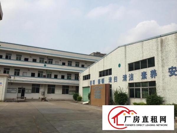 
		五一大道边900平钢构招租
	