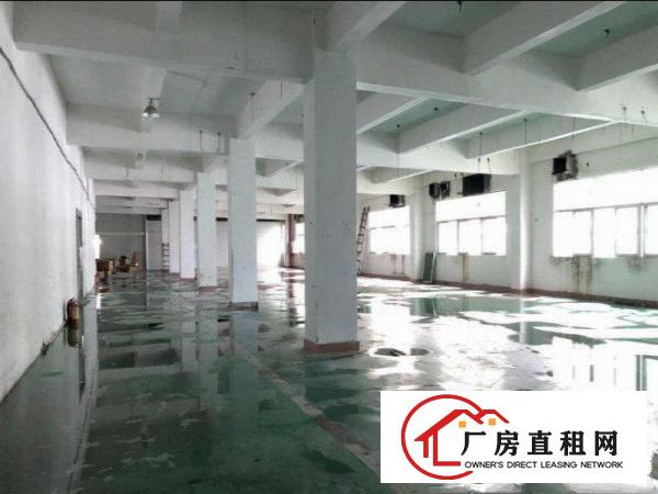 
		仲恺陈江1楼1000平厂房招租
	