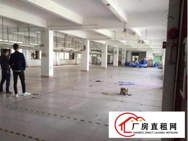 
		出租仲恺陈江全新厂房可分租
	