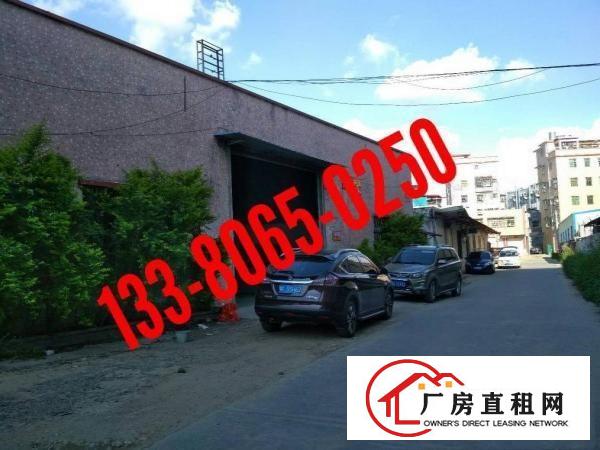 
		陈江单层一楼900平方
	