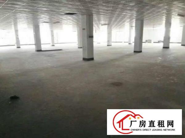 
		仲恺陈江独门独院11000平米厂房招租也可分租
	