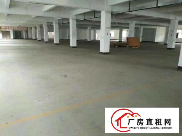 
		仲恺陈江独门独院11000平米厂房招租也可分租
	