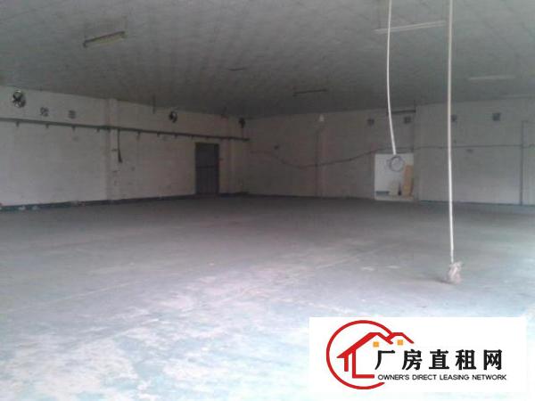 
		陈江带装修小厂房出租200到800平米
	
