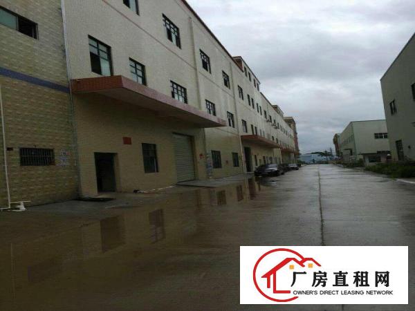 
		陈江镇原房东独门独院3900平出租大小可分租
	
