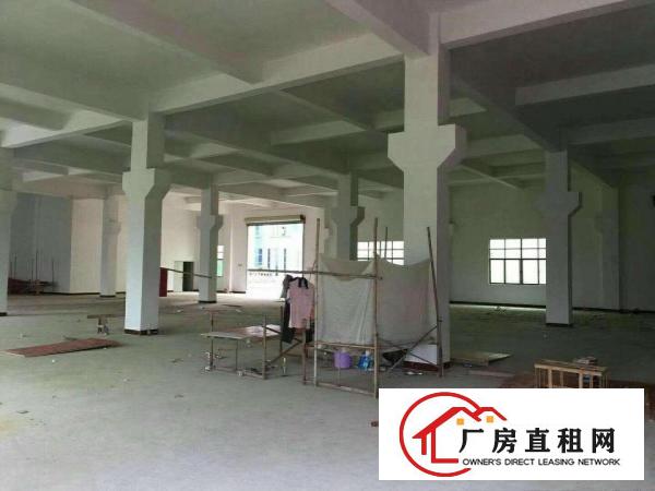 
		陈江镇原房东独门独院3900平出租大小可分租
	