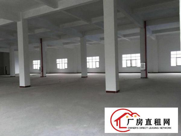 
		陈江镇原房东独门独院3900平出租大小可分租
	