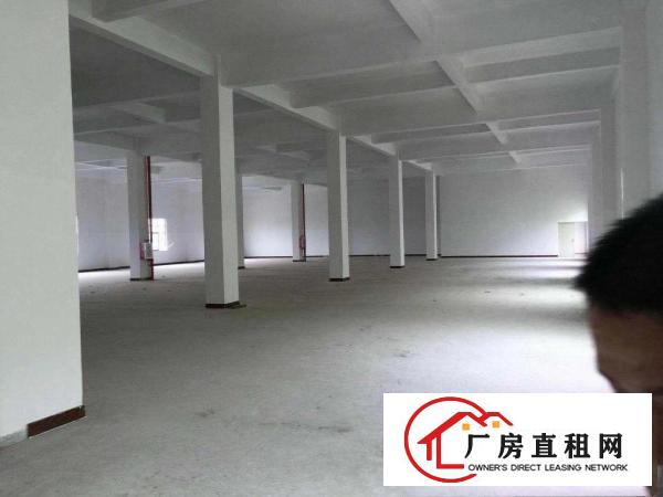 
		陈江镇原房东独门独院3900平出租大小可分租
	