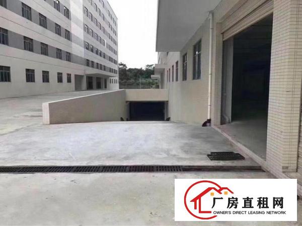 
		仲恺原房东独独院厂房20000平米
	