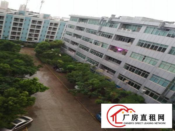 
		陈江标准厂房1200平方出租
	