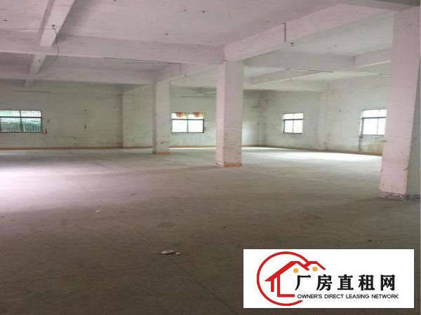 
		单层600带装修厂房出租
	