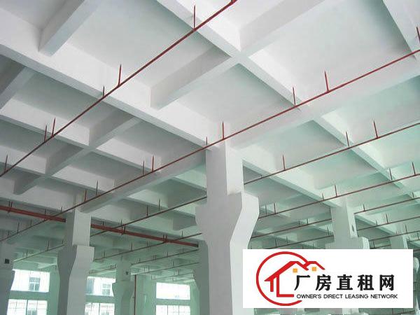 
		带装修陈江有6000平米厂房,可分租或整租
	