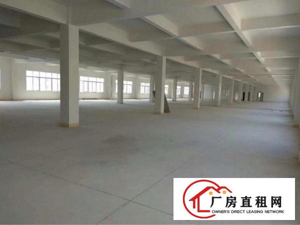 
		仲恺高新区全新独院三万五平方标准厂房招租
	
