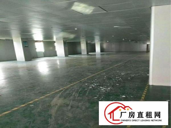 
		仲恺惠环陈江小独院厂房出租
	