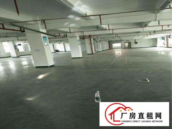 
		仲恺惠环陈江小独院厂房出租
	
