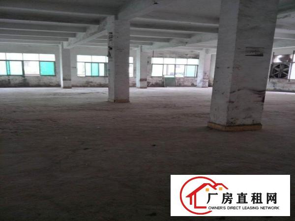 
		新华大道附近独院厂房4200平出租整租
	