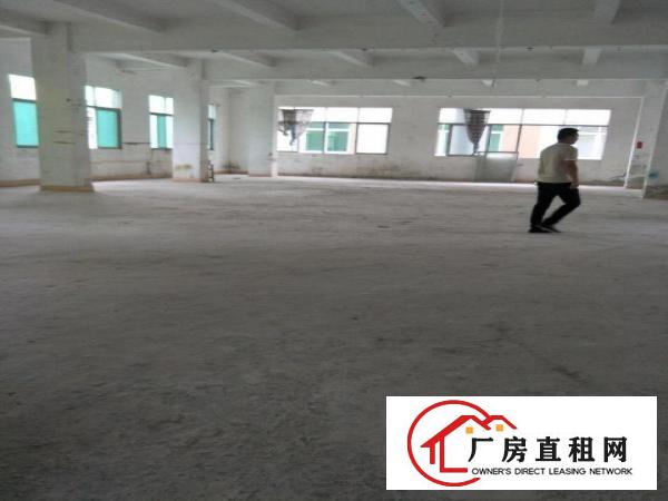 
		新华大道附近独院厂房4200平出租整租
	