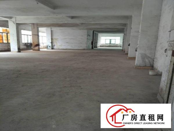 
		新华大道附近独院厂房4200平出租整租
	