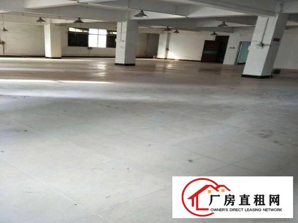 
		陈江镇陈江小学附近新出楼上400平无公摊
	