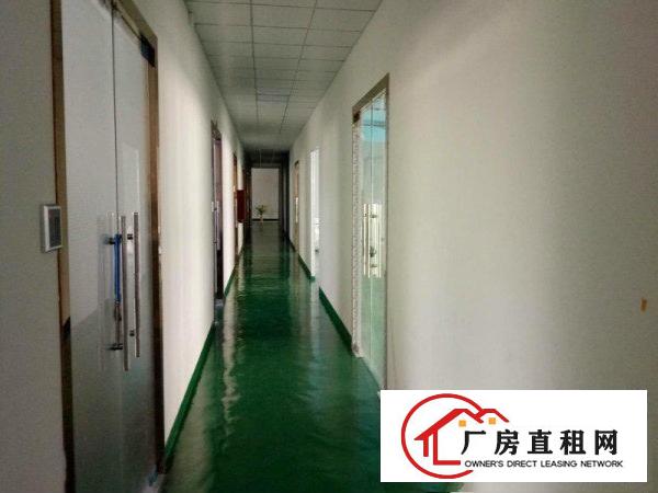 
		《靓》仲恺独院厂房2700平米招租
	