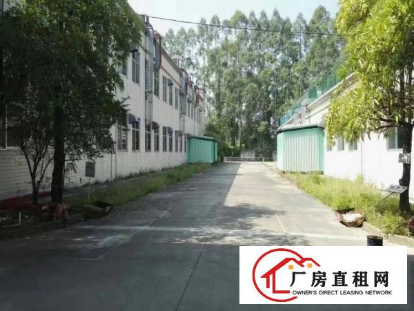 
		陈江一楼厂房出租，滴水11米
	
