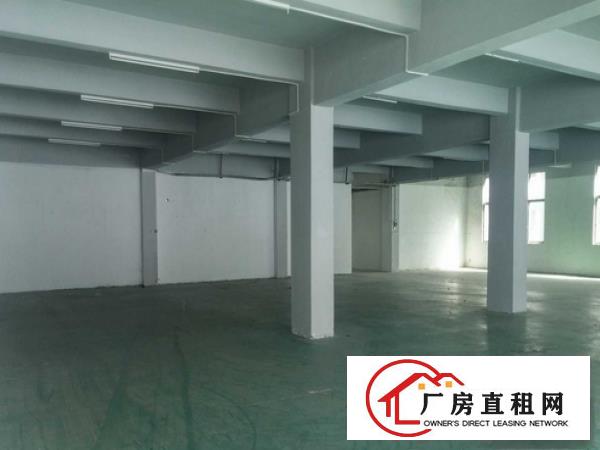 
		陈江独门独院厂房招租5600平方，配货梯带漆滴
	