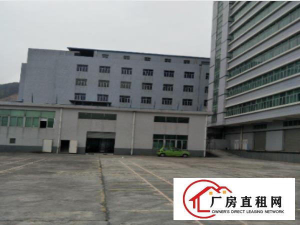 
		仲恺陈江一楼750平带现成装修标准厂房招租
	