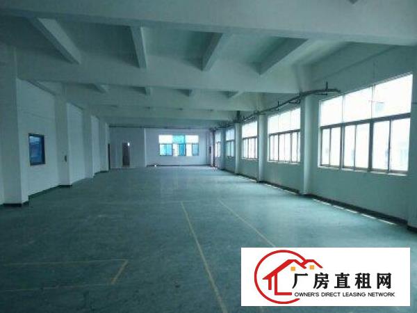 
		仲恺陈江一楼750平带现成装修标准厂房招租
	