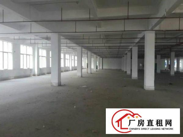 
		惠州陈江19000平全新独院厂房出租，证件齐全
	