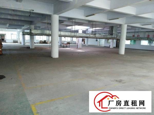 
		陈江大道旁工业园区花园式4500平方标准厂房
	