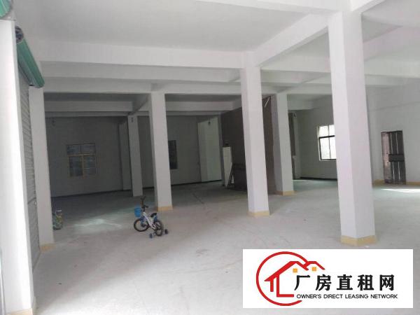 
		仲恺陈江大道旁独门独院1350平方标准厂房出租
	