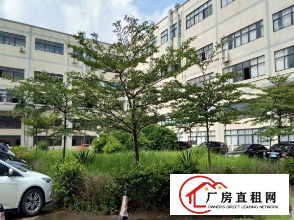
		平南金时发工业园二楼带装修标准厂房350平方招租
	