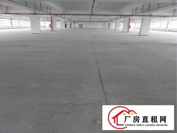 
		陈江13000平全新厂房独院，带国有红本
	